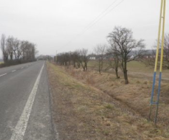 Čistenie verejných priestranstiev od krovín