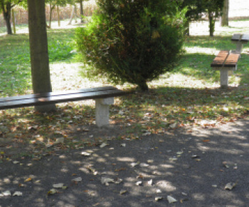 Cintorín:    Oprava oplotenia, výsadba drevín pri ceste, oprava lavičiek, oprava špár na schodoch 