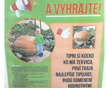 Aktuality / Okresná výstava ovocia, zeleniny a okrasných rastlín - foto